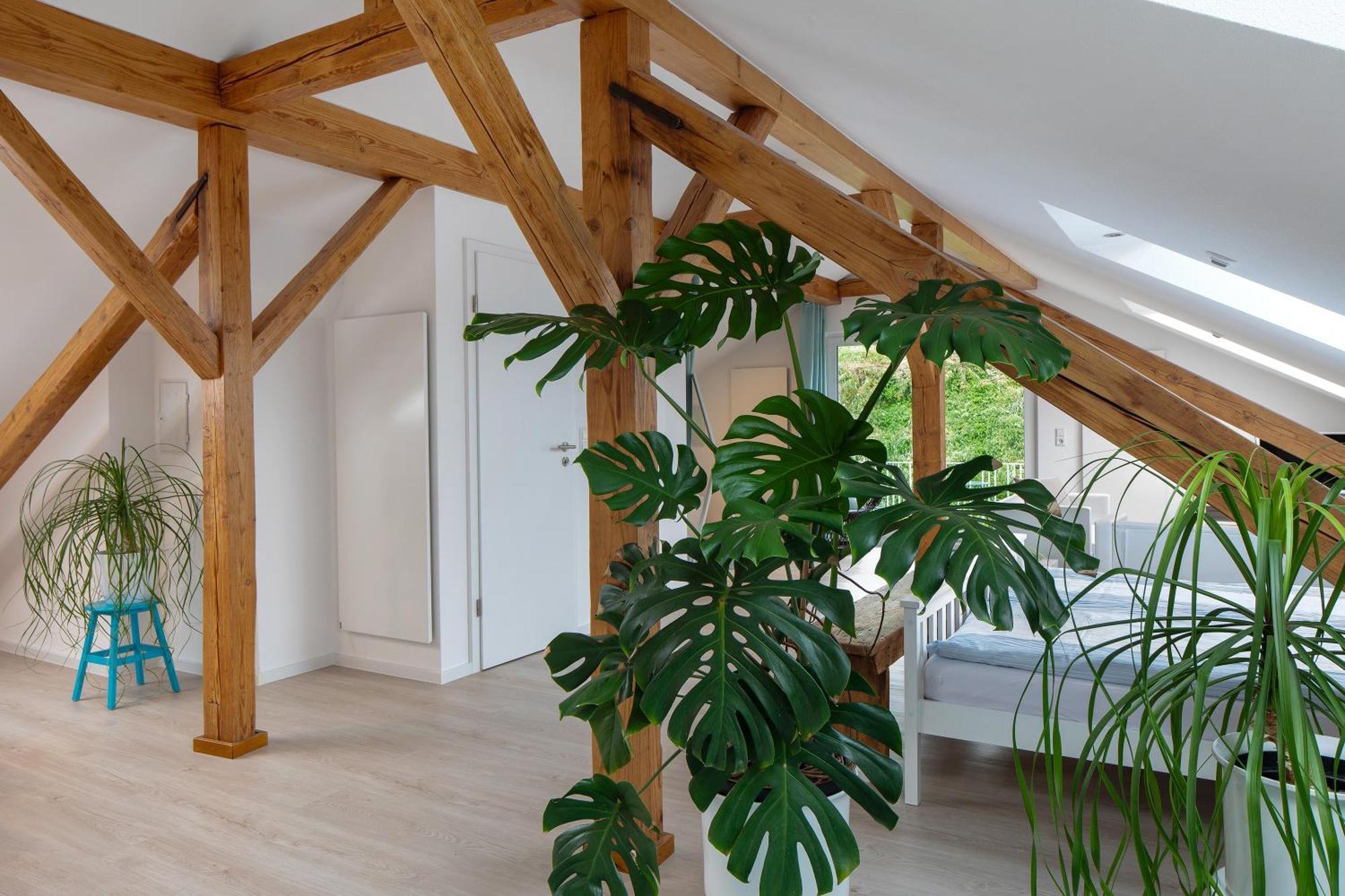 Ferienhaus Engelsberghof Endingen am Kaiserstuhl Exteriör bild