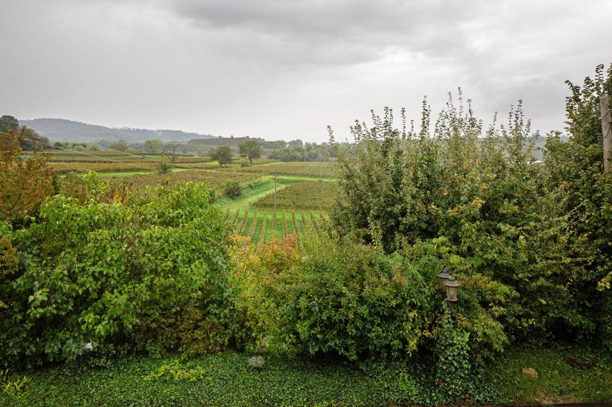 Ferienhaus Engelsberghof Endingen am Kaiserstuhl Exteriör bild